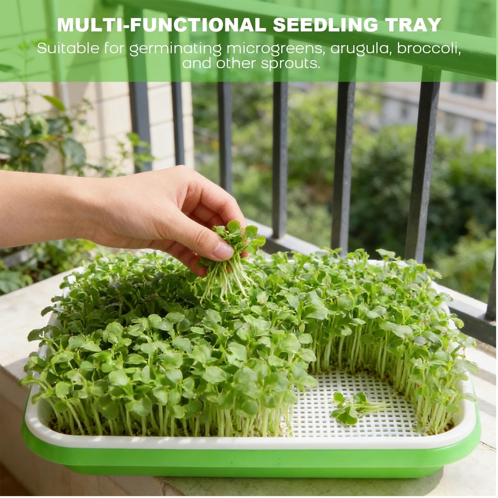 ZONJIE 5 bandejas para germinar brotes – Seed Sprouter Tray – Bandeja para germinar 32 cm x 25 cm Berro bandeja germinación bandeja para germinar microgreens, berros, frijol mungo, alfalfa, hierba de