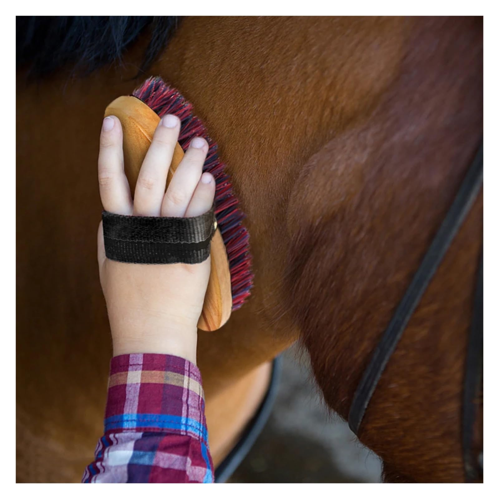 Kit de Aseo for Caballos 10 en 1: Incluye Peine for Crin y Cola, Cepillo Masaje, raspador Sudor, limpiacascos Estropajo
