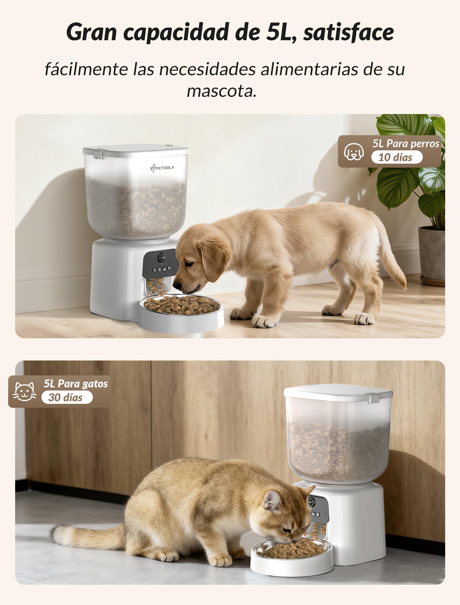 Comedero Automático para Perros, Dispensador de Alimentos para Gatos Programable de 1 a 6 Comidas para Gatos y Perros pequeños y medianos, comedero automático para Mascotas (con Video)