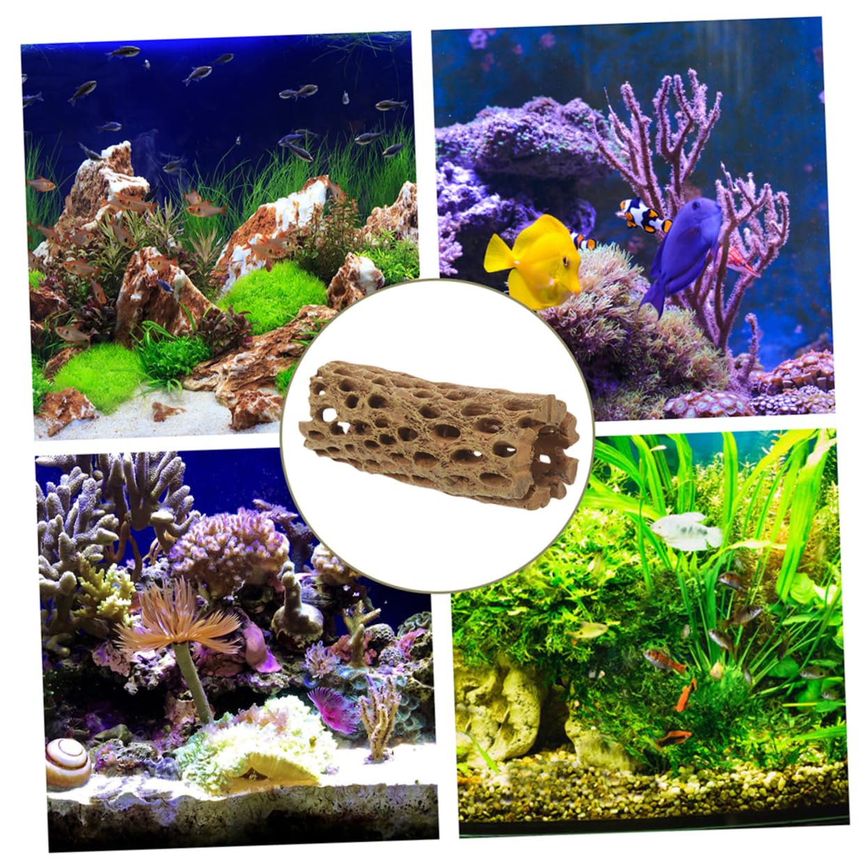 COLLBATH 2 Stück Garnelenversteck aus Harz Aquarium Dekoration Robustes Garnelenversteck Natürliches Aquarium Ornament für Garnelen und Kleine Fische