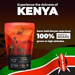 Haricots entiers de taille moyenne Coffee – Lisse & Arabica équilibrée pour Espresso, Brew froide & Verser – Spécialité fraîche grillée Kenya AA Haricots – 300g sac