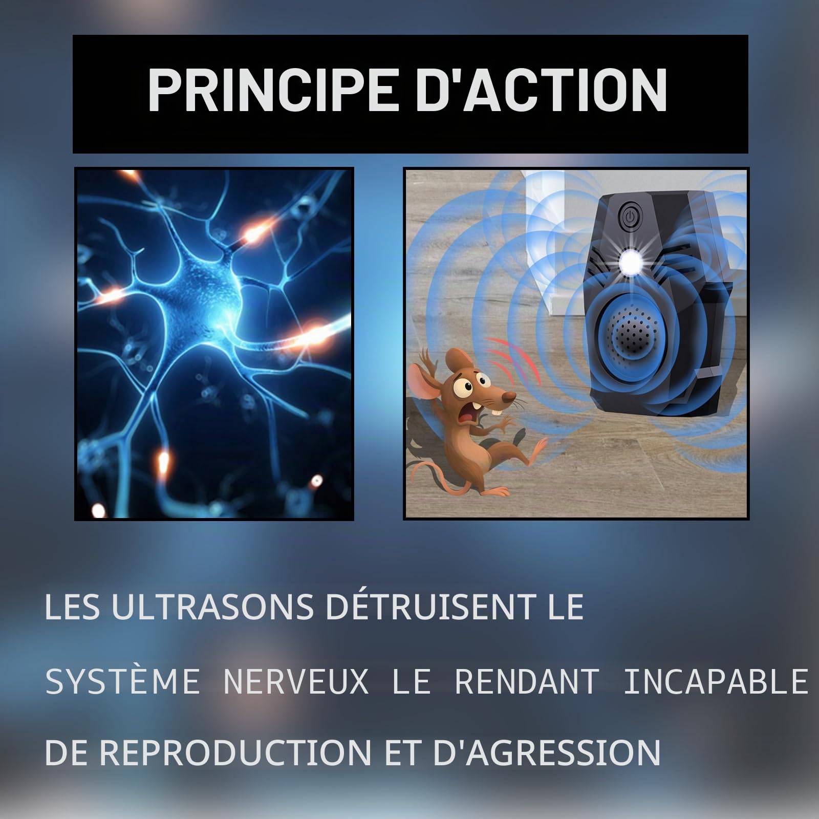 Répulsif à ultrasons contre les nuisibles, Répulsif à ultrasons anti-souris, Repousse les souris, Répulsif anti-araignées, Répulsif anti-chauve-souris, 4 modes pour la maison, l'appartement, le