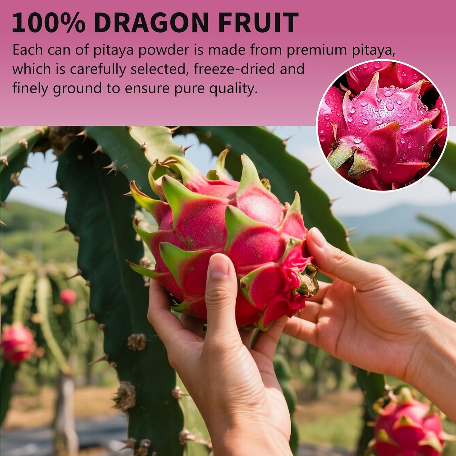 Dragon Fruit Powder, 8.82OZ/250G Natura Purple Pitaya Powder, Fruit Powde-r for Drink, Baking, Smoothies, Cocktai, No Sugar & No Additives - Image 3