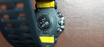 Review Image by Alejandro P.