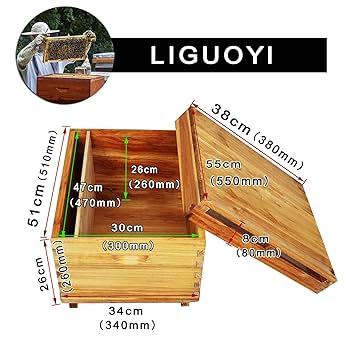 Amazon.co.jp: 蜜蜂巣箱 ミツバチ養殖 フローハイブ養蜂セット