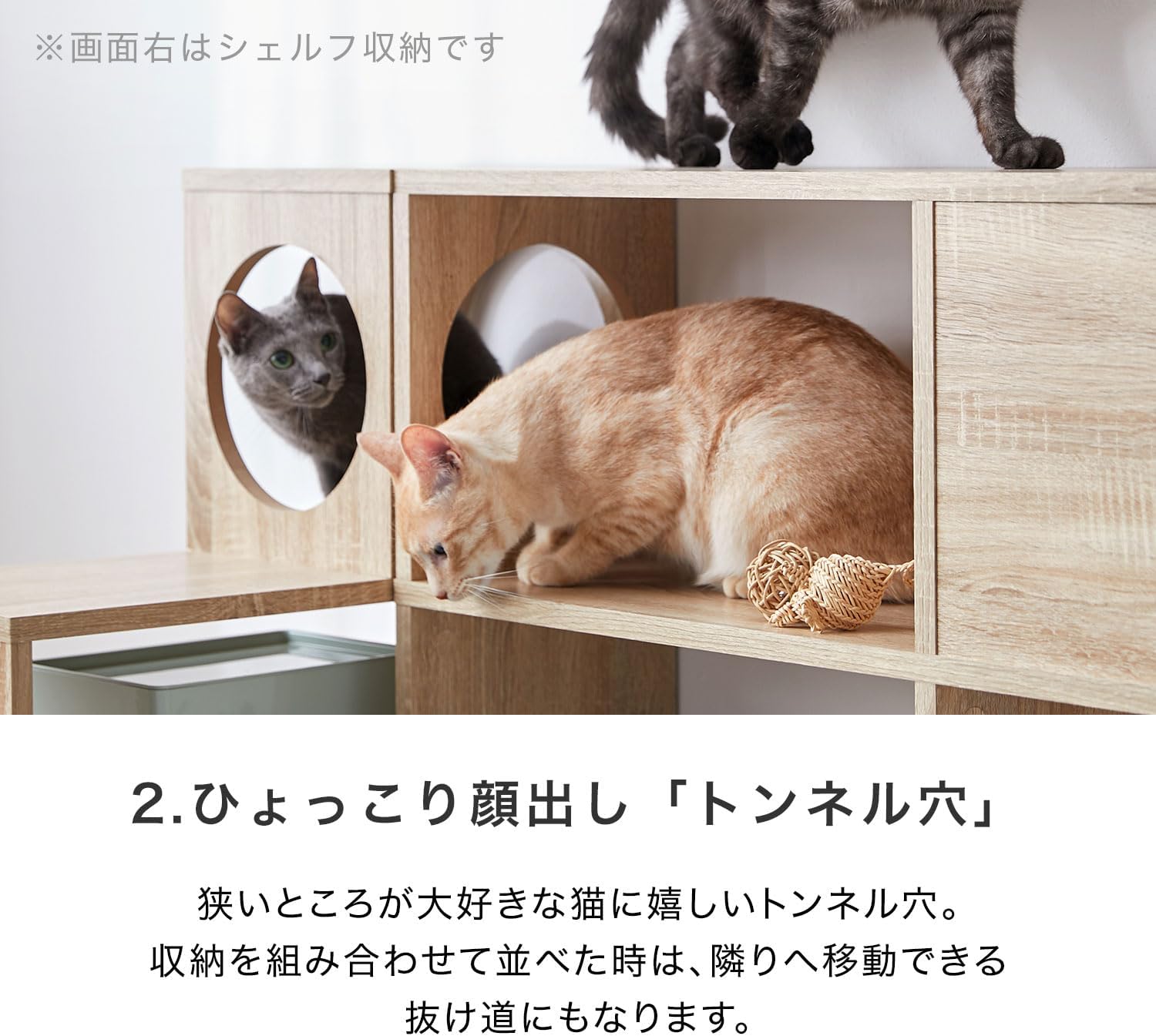 猫家具