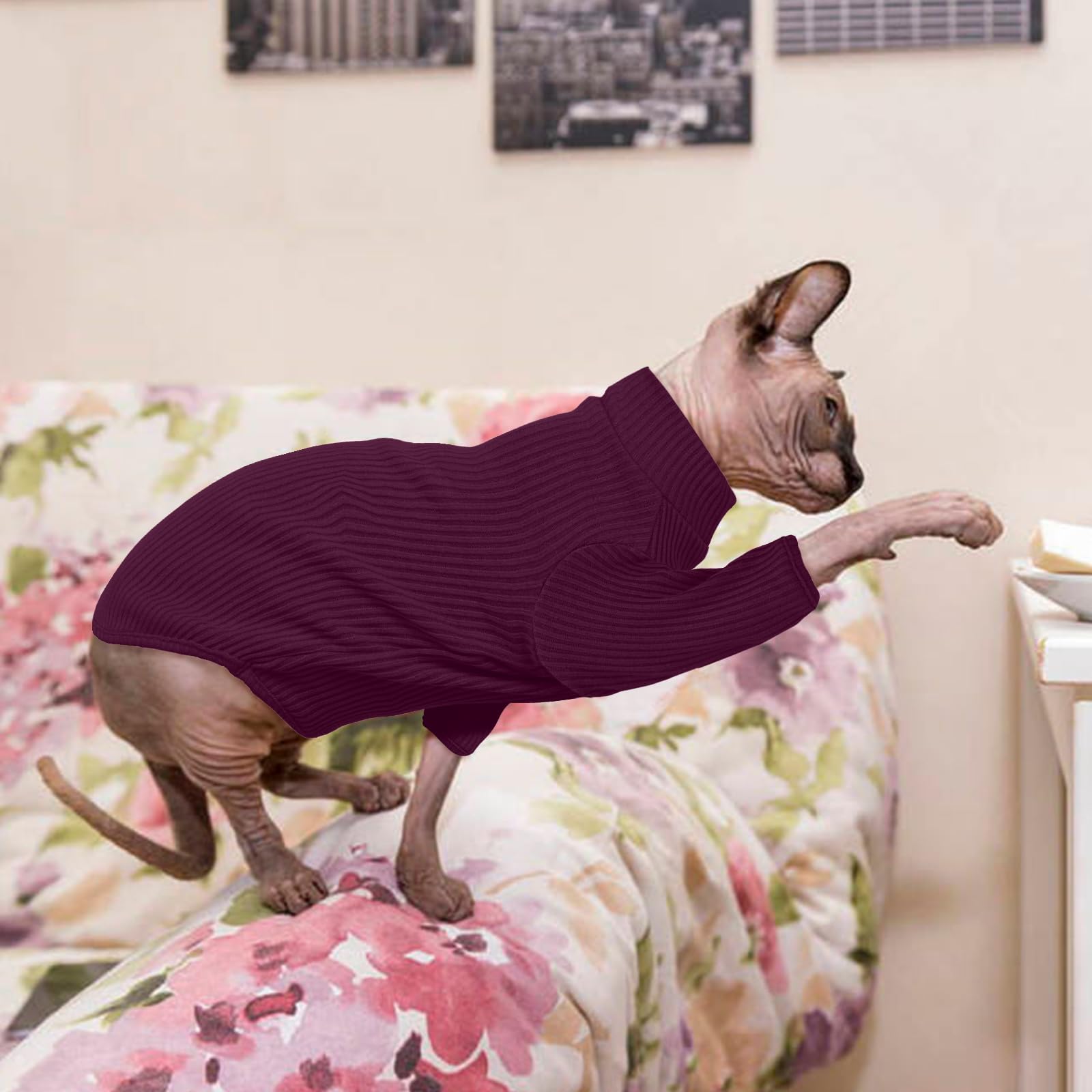 Hairless Cat Sweater，Sphynx Cat Clothes，Kitten Clothes，Breathable Sweaters Cats, Kitten Pullover w/ Sleeves, Cat Jumpers Cats Only，Cat Clothes Sphynx，Cornish Rex，Devon Rex -L，PurpleRed — view 6