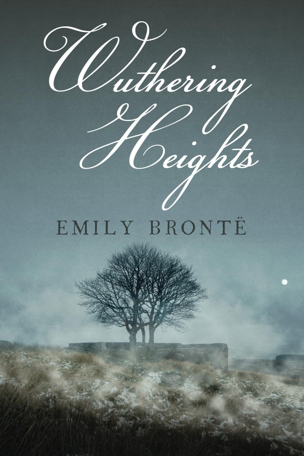 Wuthering Heights: Dyslexic Edition
