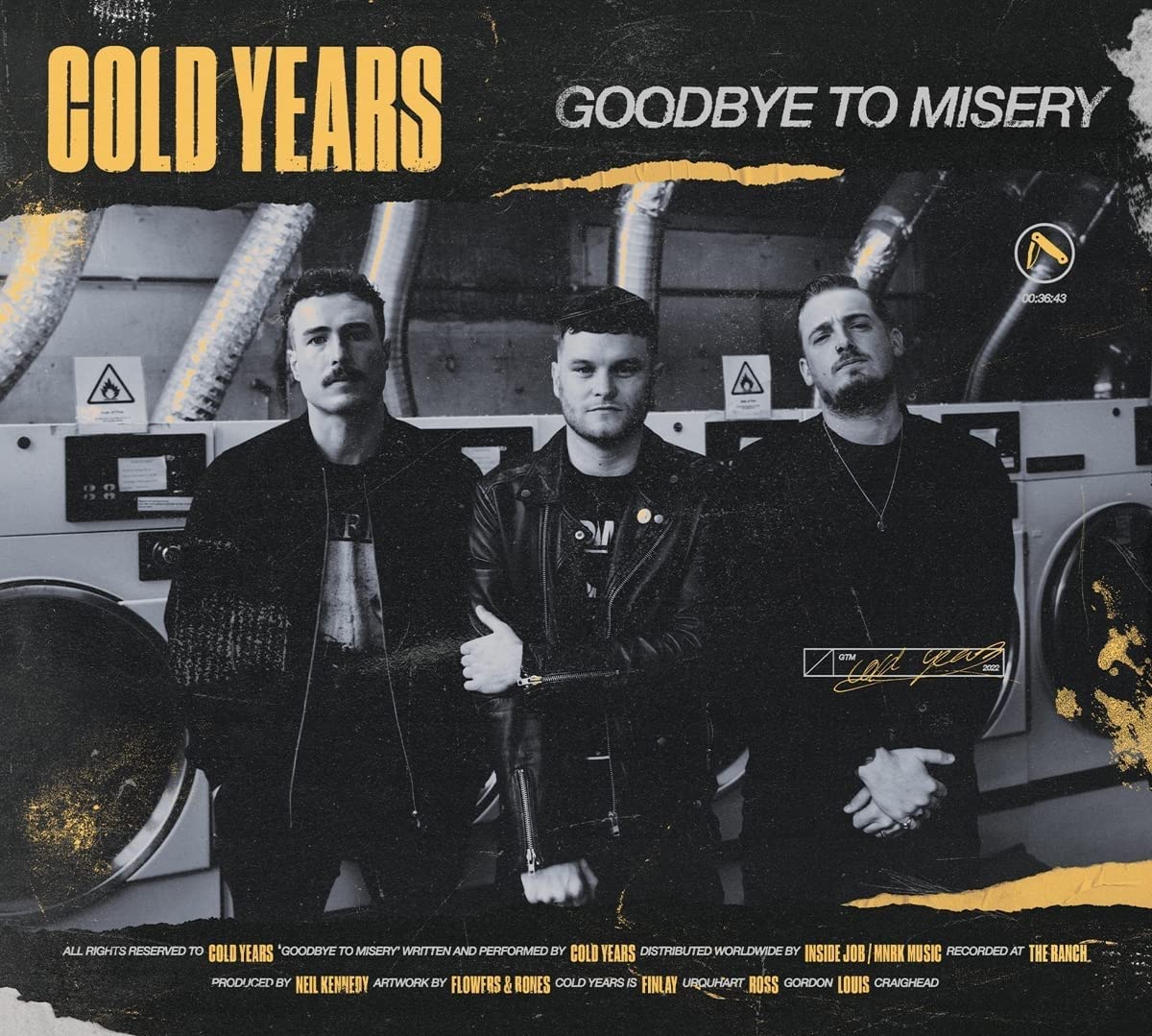 Goodbye To Misery (LP) [VINYL]