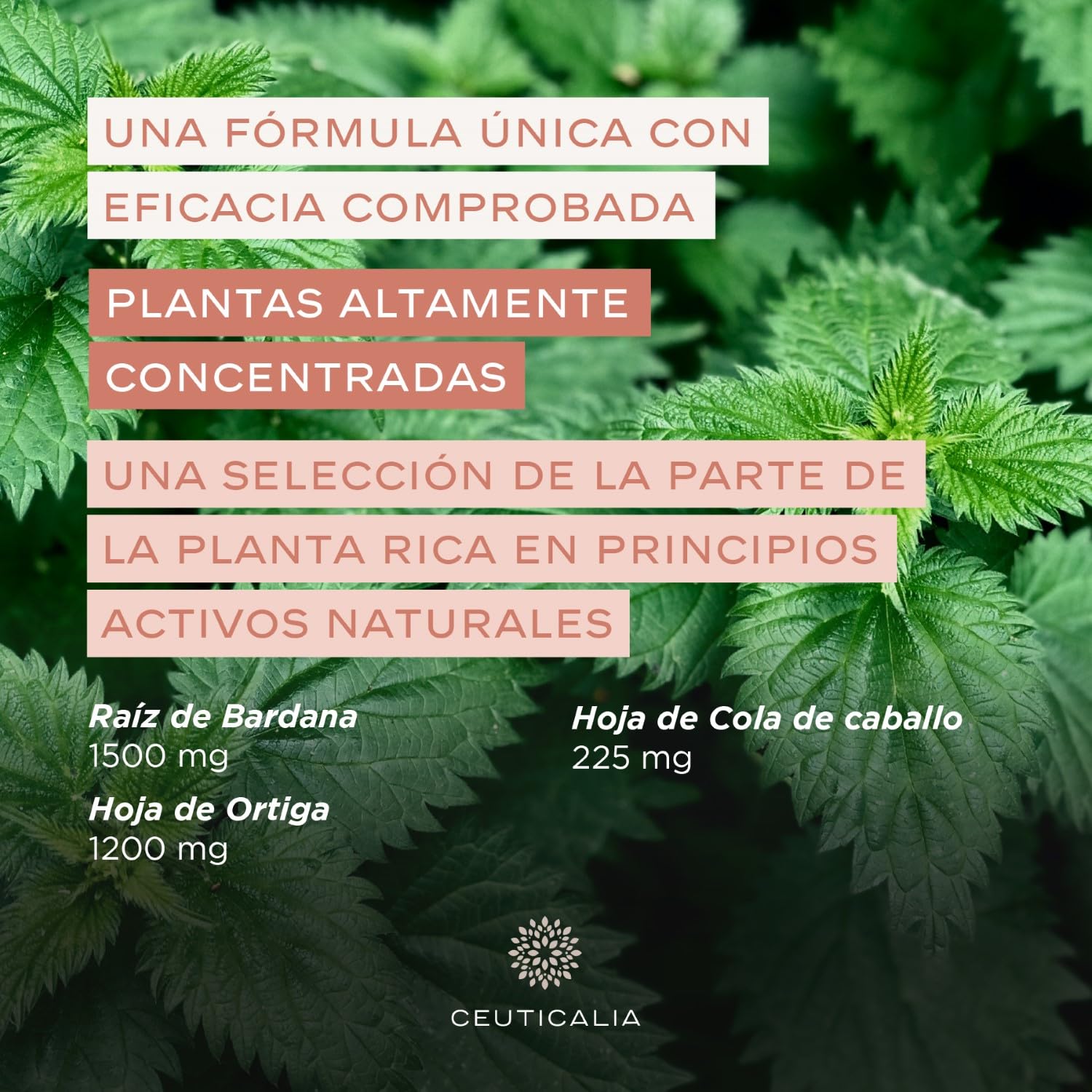 Suplemento para la Cara y la Piel - Anti Puntos Negros, Acné, Piel Grasa y Seca, Granos, Manchas - Hombres, Mujeres - Zinc, Vitamina A, Ortiga, Bardana, Cola de Caballo - 180 Cápsulas, 90 Días