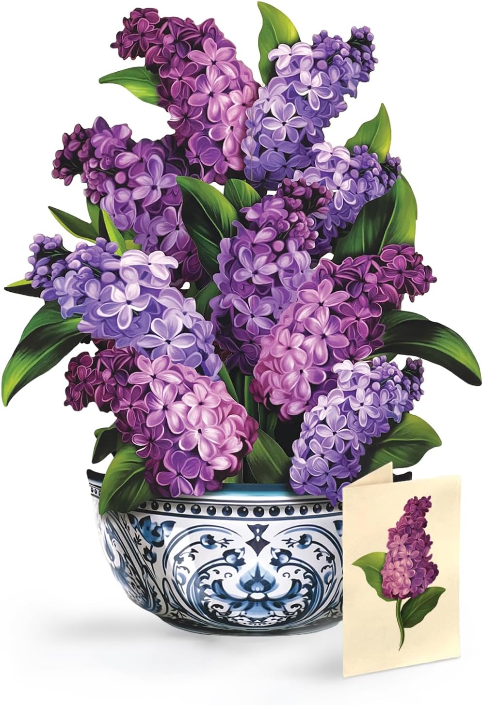 Freshcut Paper Garden Lilacs 14" Life-Sized 3D Pop Up Card | Includes Greeting Card and Envelope – Note Card for Birthday, Mother's Day & More, Gifts for Mom & Her