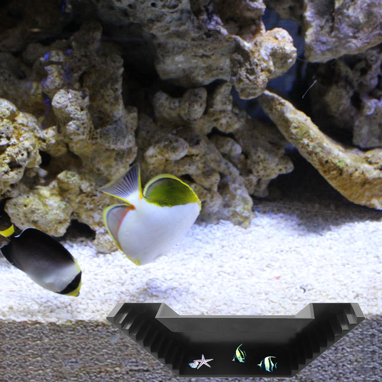 Aquarium Ondergrondse Tunnel Grot Bocht Twee Gat,Vissen & Garnalen