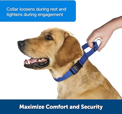 Miniatura 2 de Collar de la martingala de PetSafe Petite con hebilla rápida instantánea, Púrpura profundo