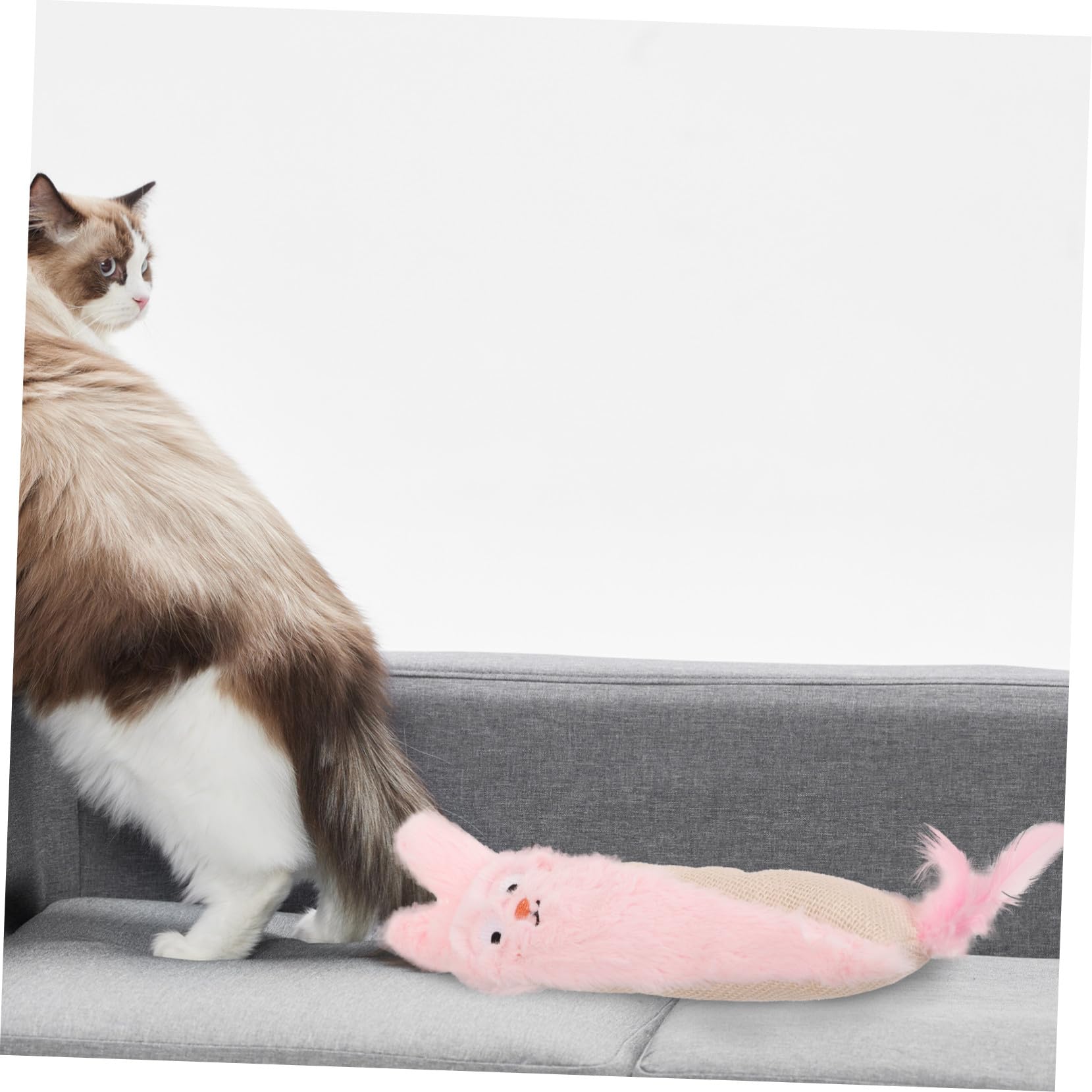 POPETPOP Jouet Herbe à Chat avec Papier Froissé Jouet Interactif Peluche à Mâcher pour Chat