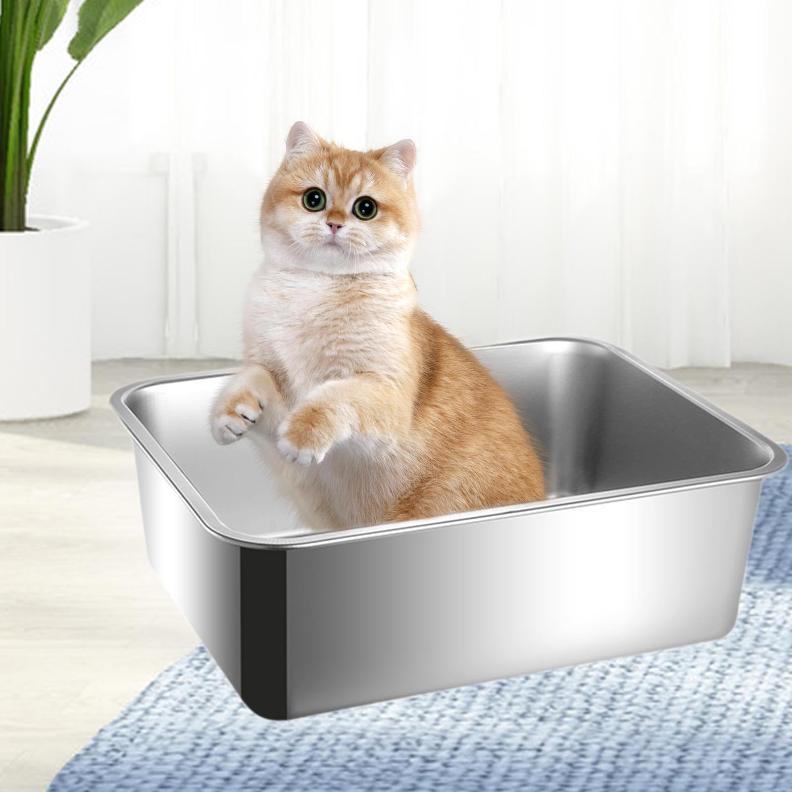 Katzenklo Edelstahl Katzenstreu Box Katzentoilette Hohe Seiten Offene Streuwanne rutschfest Leicht zu Reinigen für Kleine Katzen Und Kaninchen Innenbe, 44.5 cm X 34.5 cm