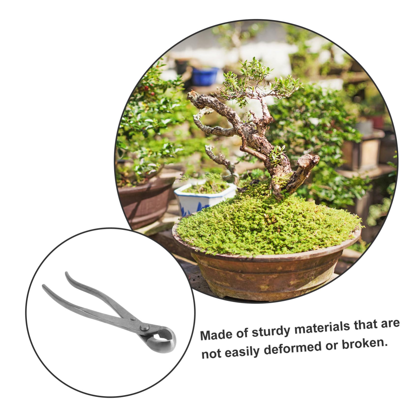 Bonsai Baumwerkzeuge Gartenschere Kohlenstoffstahl Präzise Bypass Gartenschere für Hobbygärtner Bonsai Künstler Vielseitig Einsetzbar