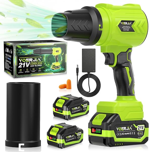 Souffleur de feuilles sans fil 21 V, 2 batteries 4000 mAh et chargeur, réglage continu 3 vitesses, double buse