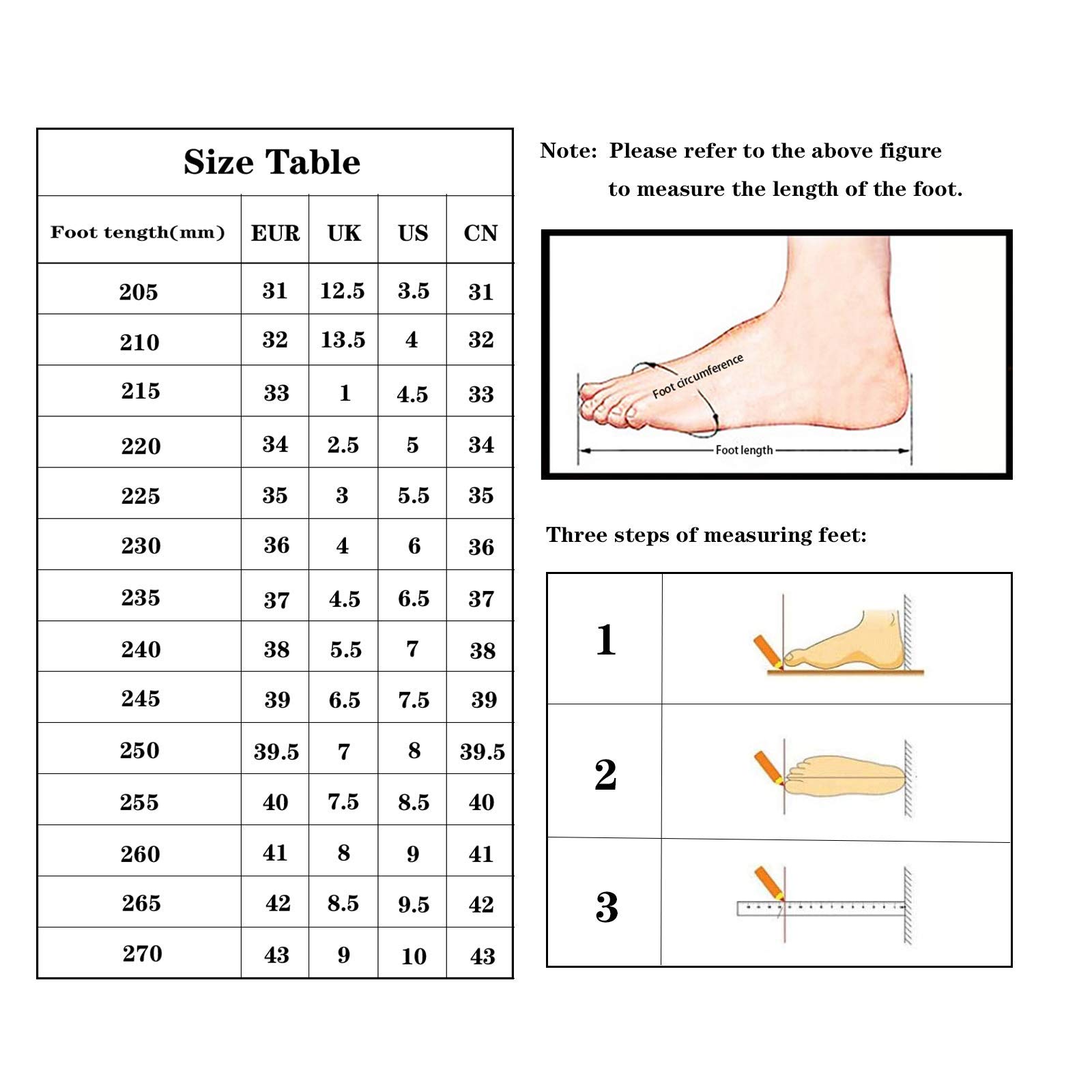 Pattini A Rotelle Scarpe per Bambini per Adulti con Doppia Ruota, Pieghevole Diventa Sneaker Sportive per Allenatore Sportivo per Ragazze dei Ragazzi,EUR41