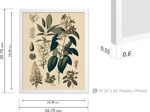 Miniatura 459 de Poster Master Póster vintage de orquídea, estampado de flores retro, arte de pared de plantas exóticas, arte botánico, regalo para hombres y