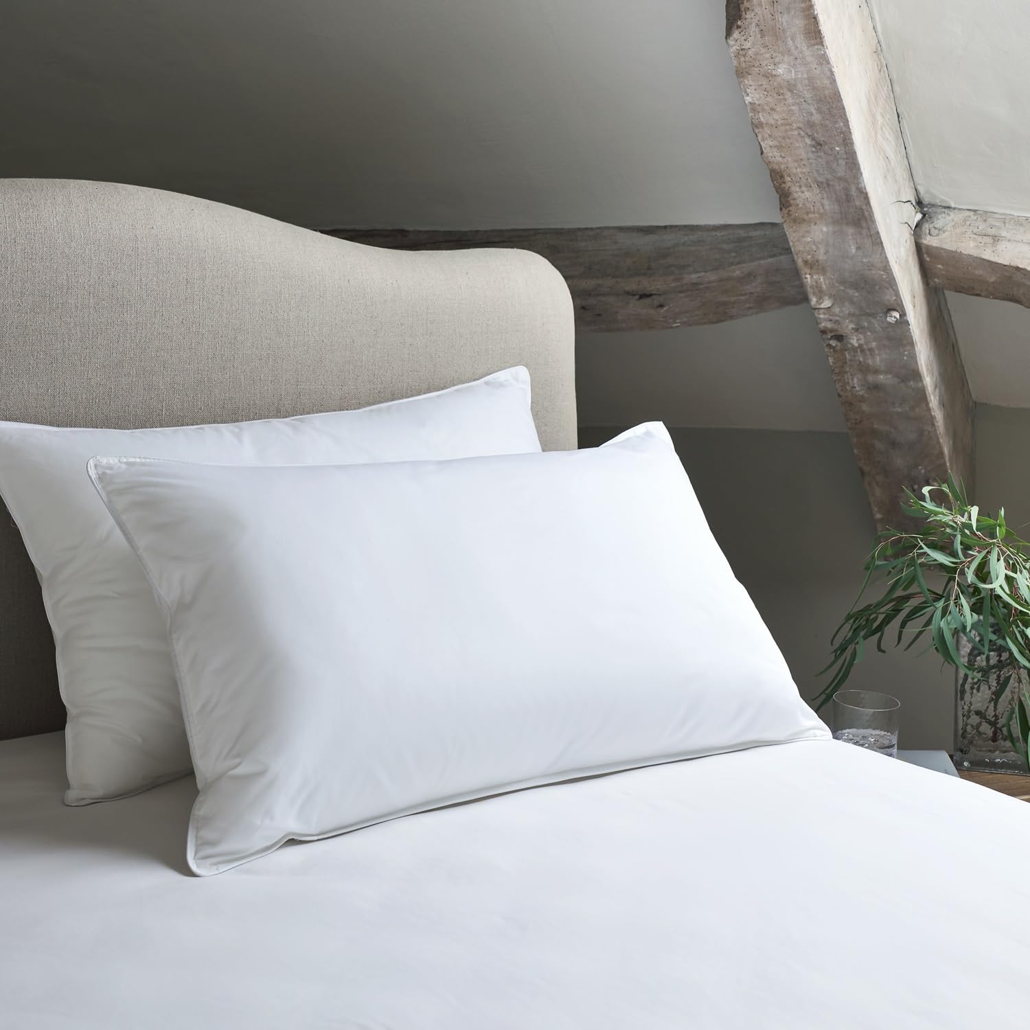 Christy Cloud Loft Standard Pillow Pair
