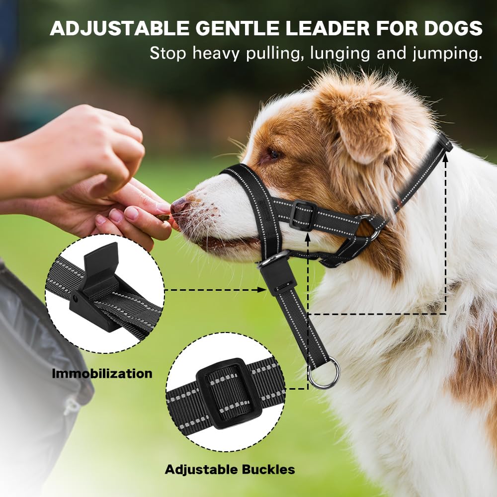 Directional Collars For Dogs Best No-Pull Dog Harnesses To Stop
