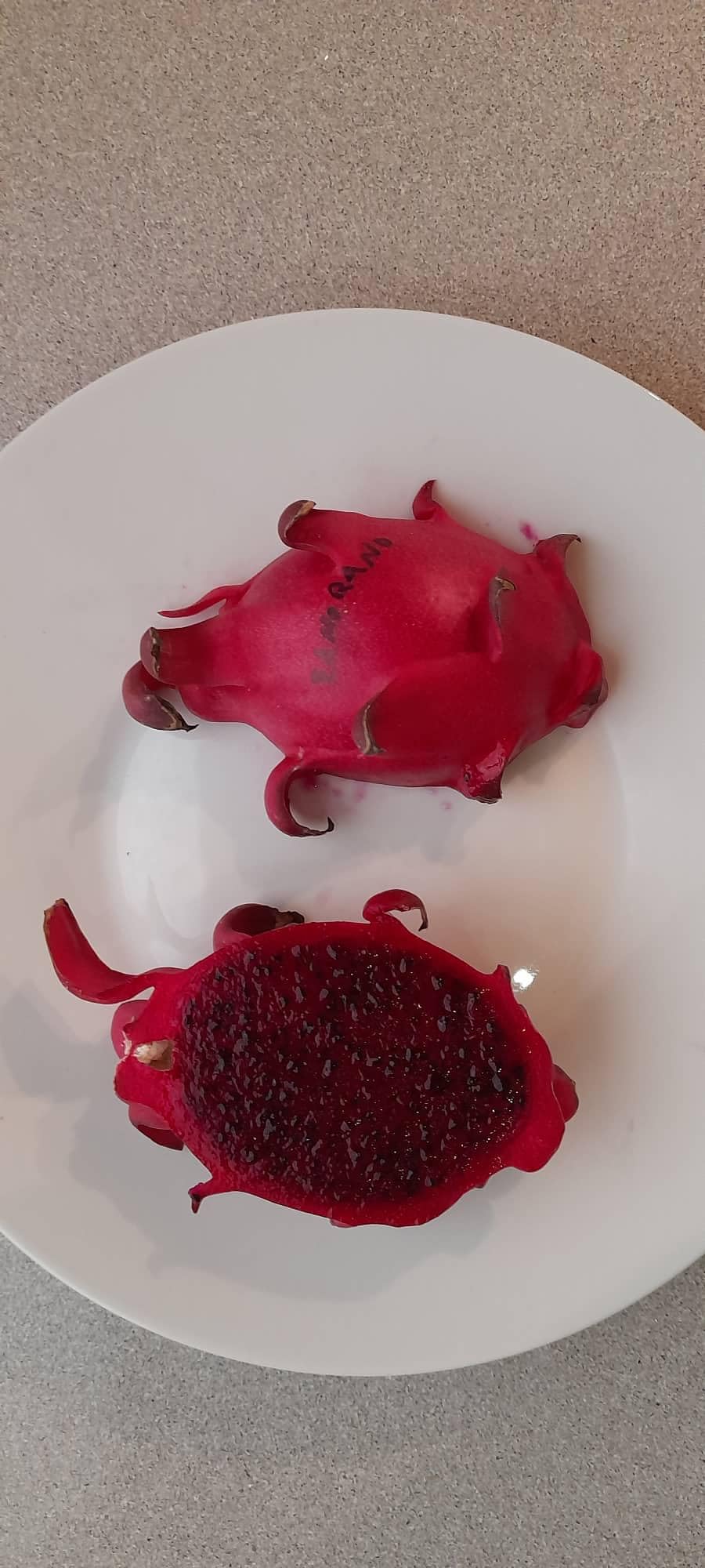 Pitaya Rossa - Pianta Di Frutto Del Drago Autofecondante Zamorano/Guyute 30-40 Cm | Vivai Valtellina - Foto 11