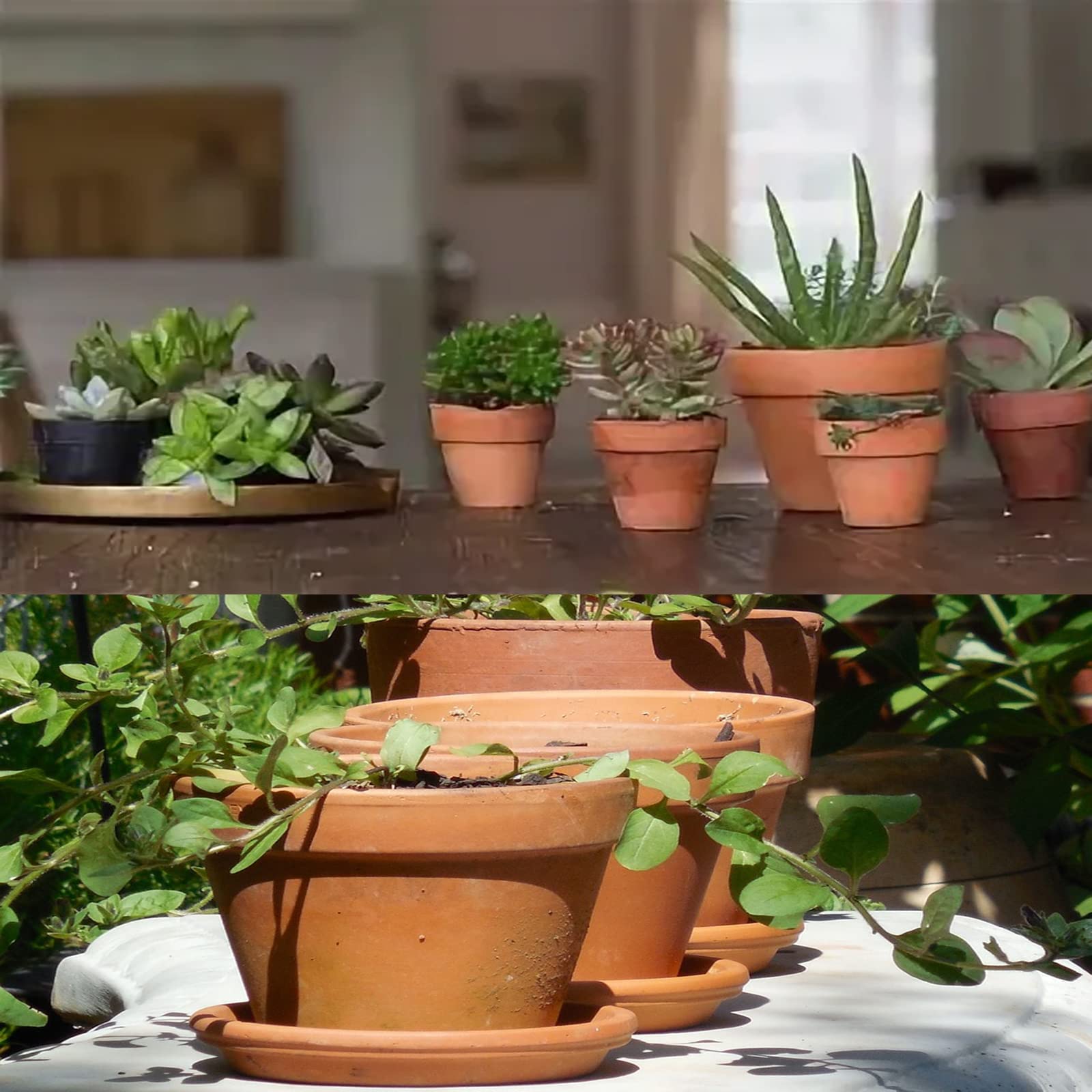 6 Uds Macetas De Terracota Buld 3,5 "x 2,2" Macetas De Arcilla Maceta De Cerámica Con Orificio De Drenaje Cactus Plantas Suculentas Macetas De Vivero - AliExprs 15