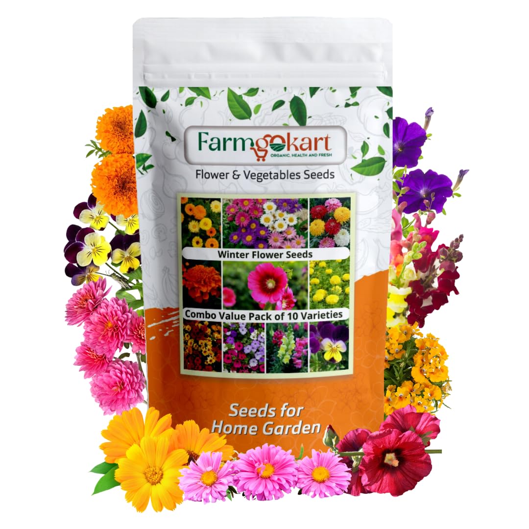 WINTER SEASON PREMIUM FLOWER SEEDS | COMBO PACK OF 10 VARATIES (APPX 1725 SEEDS) | FOR HOME GARDENING (B0DCZFVKCJ) Amazon Price History, Amazon Price Tracker