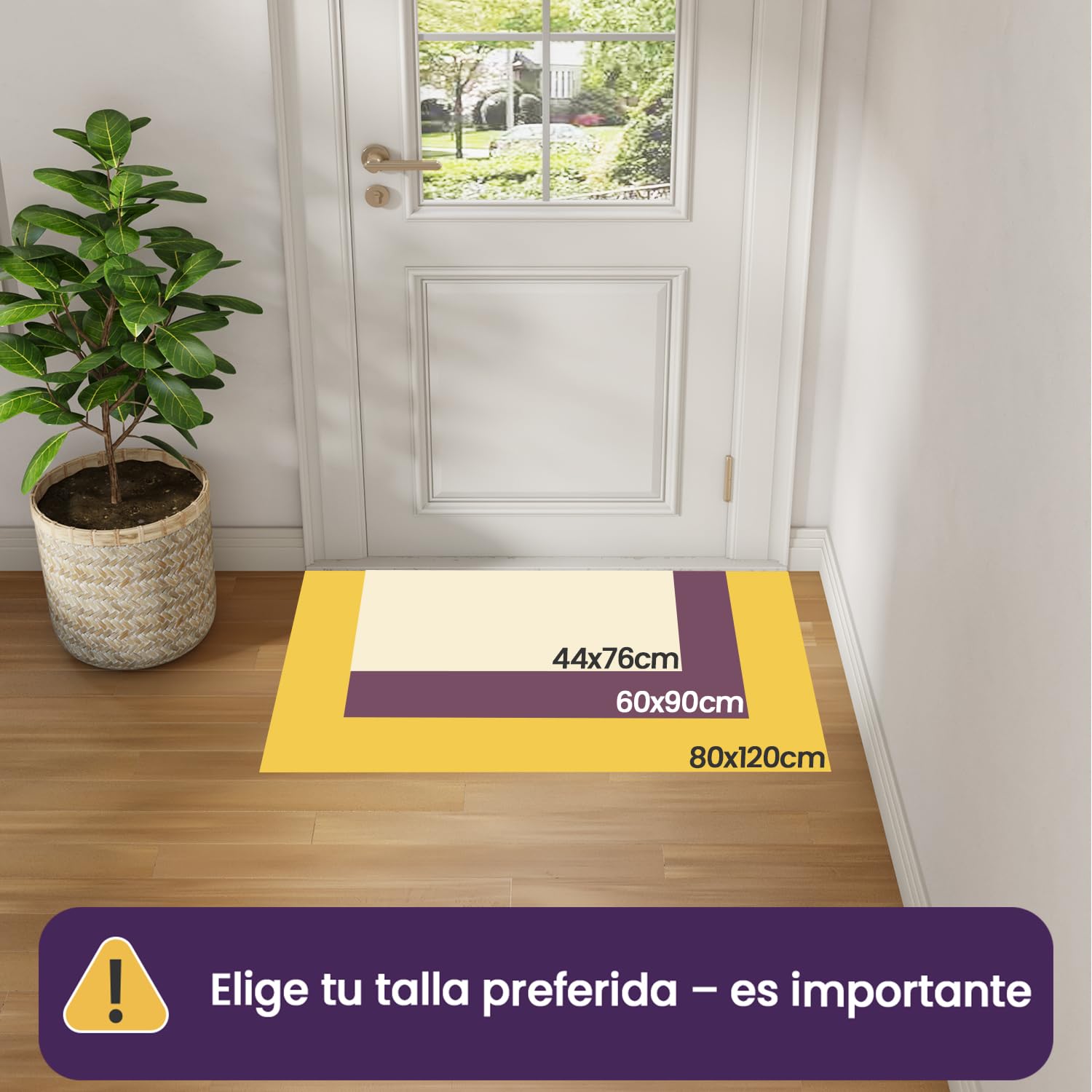DEXI Felpudo Entrada Casa 60 x 90 cm, Alfombra Entrada Interior Antideslizante, Felpudos Absorbentes para Puerta, Pasillo, Cocina, Beige