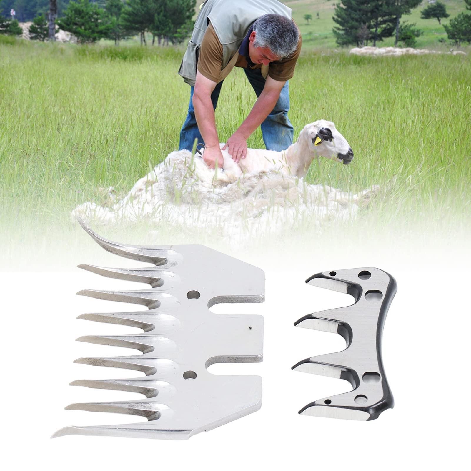 Bewinner Lame de Cisaille à Mouton Incurvée à 9 Dents de Rechange, Coupe-Laine électrique en Acier à Haute Teneur en Carbone pour Tondeuse à Chèvre, Peigne de Cisaillement Durable pour Laine Dense,