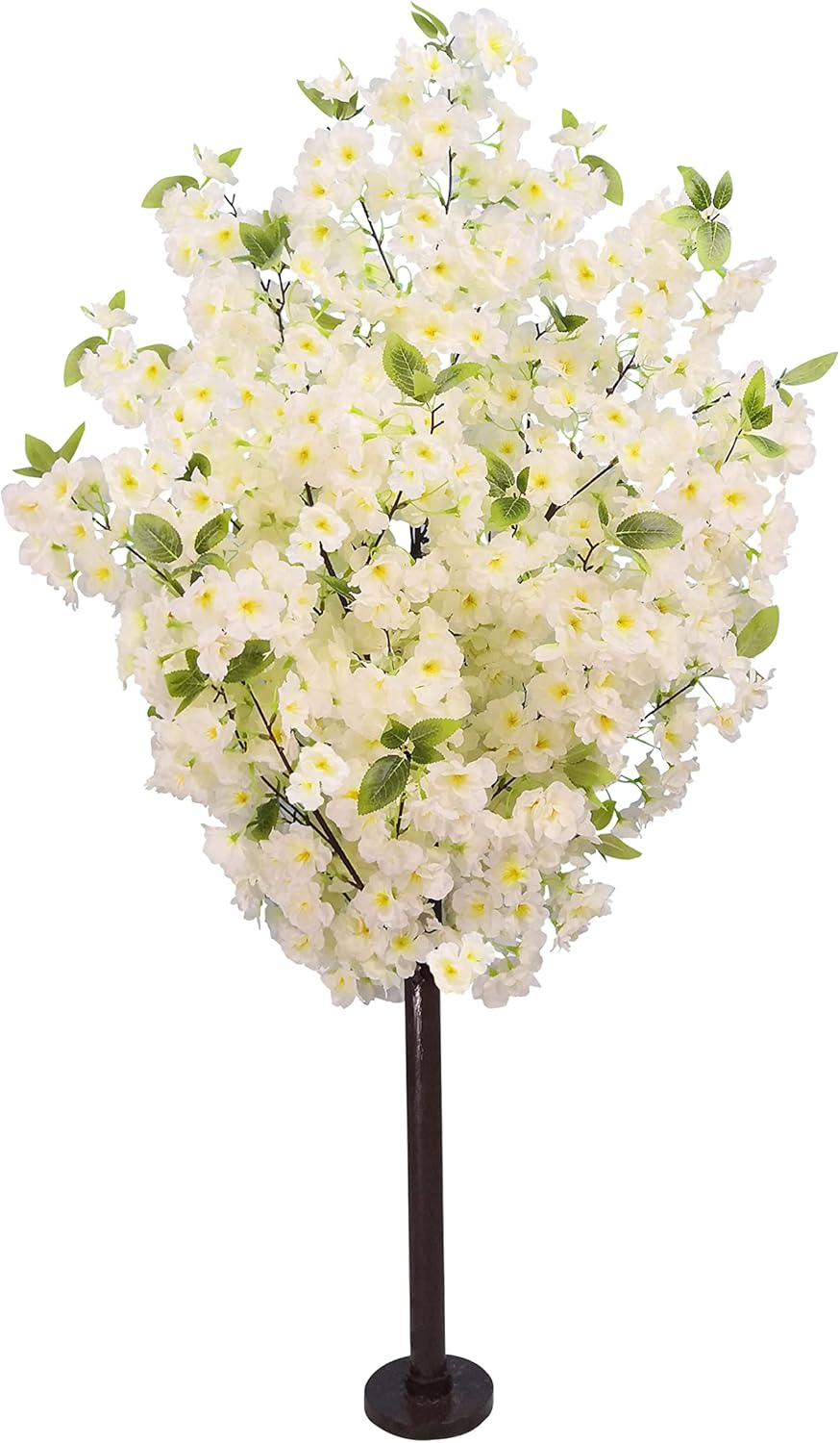 https://m.media-amazon.com/images/I/71Zgz3XuyuL._AC_SL1500_.jpg