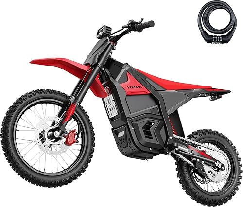 IN10 Pro - Motocicleta eléctrica de motocross, motor de tracción media de 5500 picos, bicicleta eléctrica de velocidad máxima de 50 mph, 60 V 27 AH