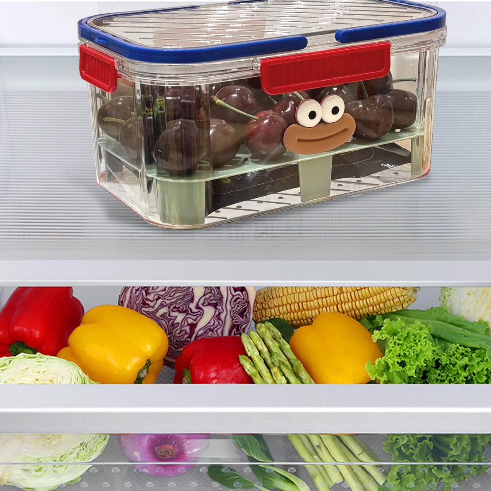 Vorratsdosen Mit Sieb – 5-teiliges Set, Luftdicht, Stapelbar, Für Obst, Gemüse & Trockenfutter