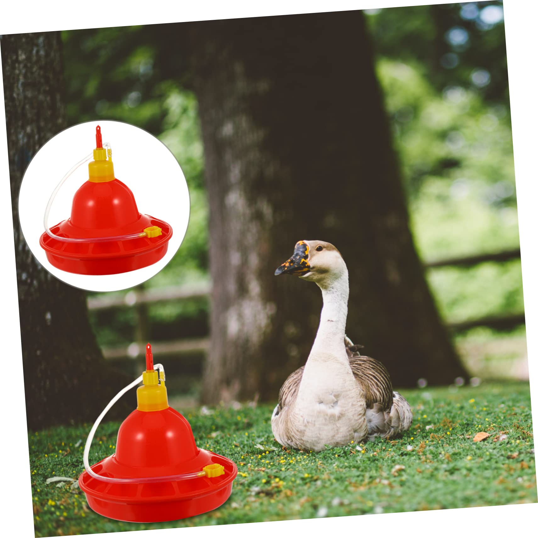 Abbeveratoio Automatico per Pollame e Oche, Plastica Rossa, Flusso Costante, Resistente al Freddo, per Uso Domestico in Fattoria