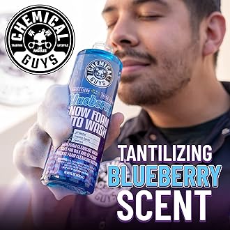 Chemical Guys CWS21664 Blueberry Snow Foam Car Wash Soap (Works with Foam Cannons, Foam Guns or Bucket Washes), Safe for Cars, Trucks, SUVs, Jeeps, Motorcycles, RVs & More, 64 fl. Oz