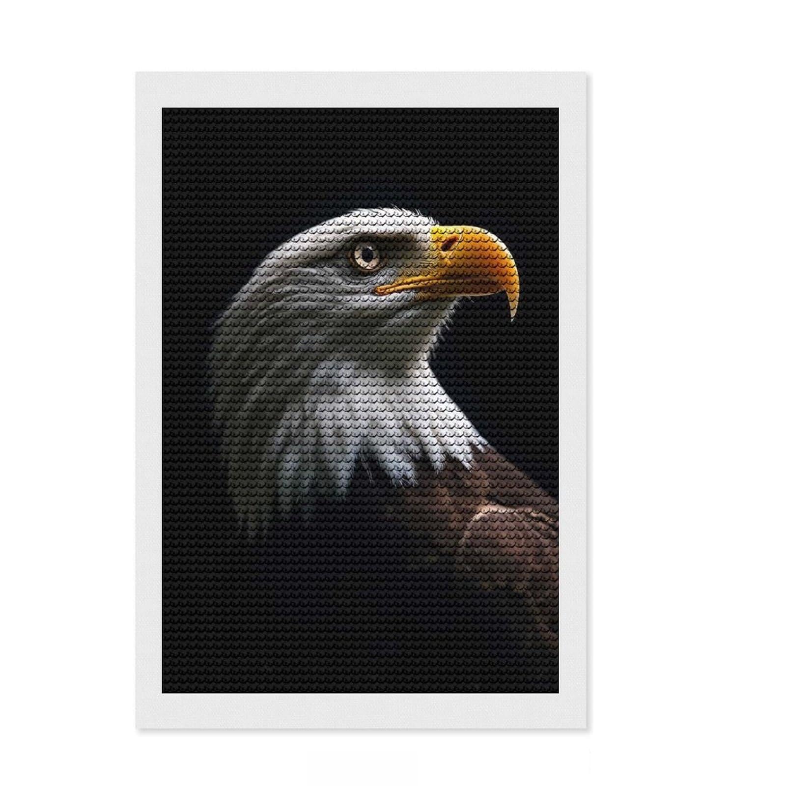 Junmoney Bald Eagle Portrait DIY Diamond Art Canvas Kit 8"x12", Farmhouse Decor, Cute Room Decor, with Tool Kit, Fun Craft Activity