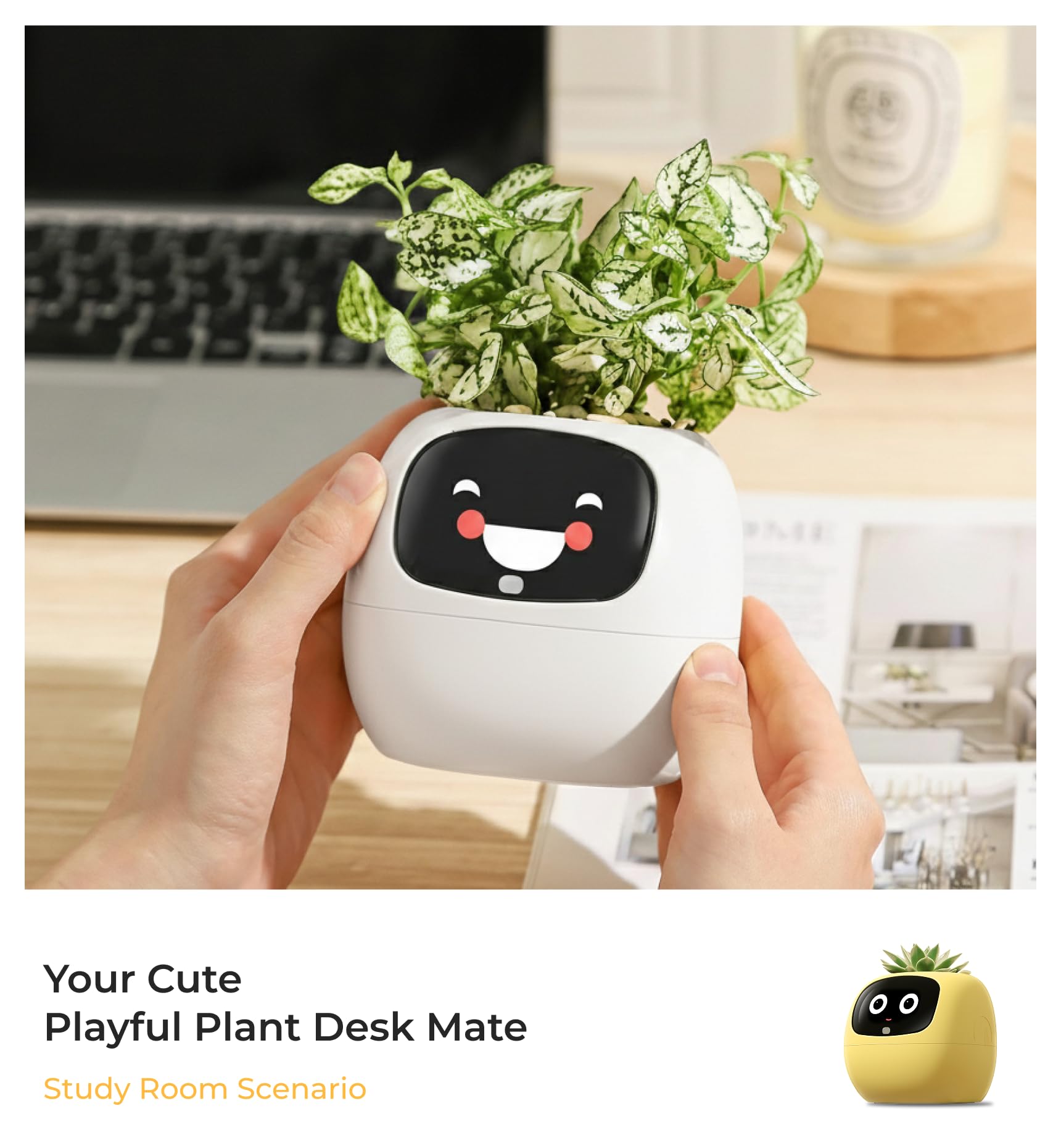 Smart Pet Planter image 3