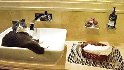 Miniatura 4 de Gmark Linen-Feel - Toallas de mano de papel de primera calidad, toallas de mano desechables blancas (50 unidades/fila, total 200 piezas) para