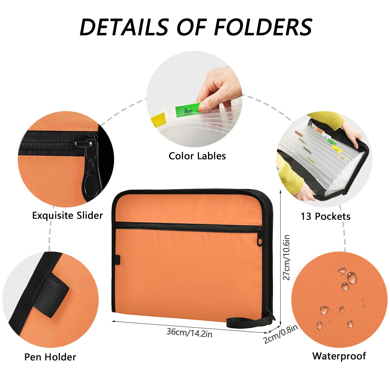 Amazon.com : Orange Expanding Accordion File Folder with 13