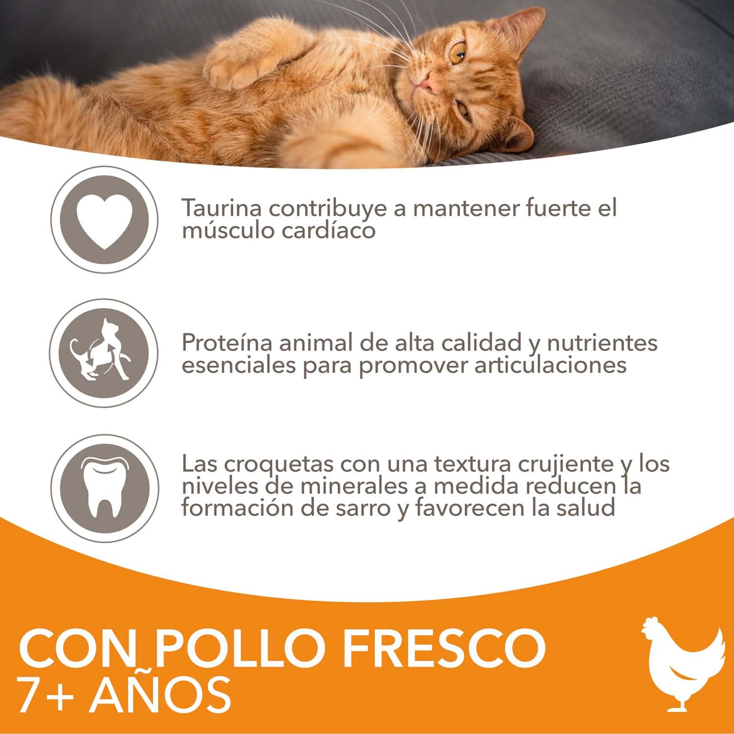 IAMS Alimento seco para Gatos Senior de Edad Avanzada con Pollo Fresco, Comida Seca para Gatos Senior de más de 7 año, 10 kg