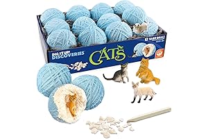 Dig It Up Discoveries: Cats