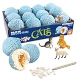 Dig It Up Discoveries: Cats – Party-Sized 12-Pack of Educational Discovery Digs for Kids with Tools & Fun Facts – Learn All About Cats!
