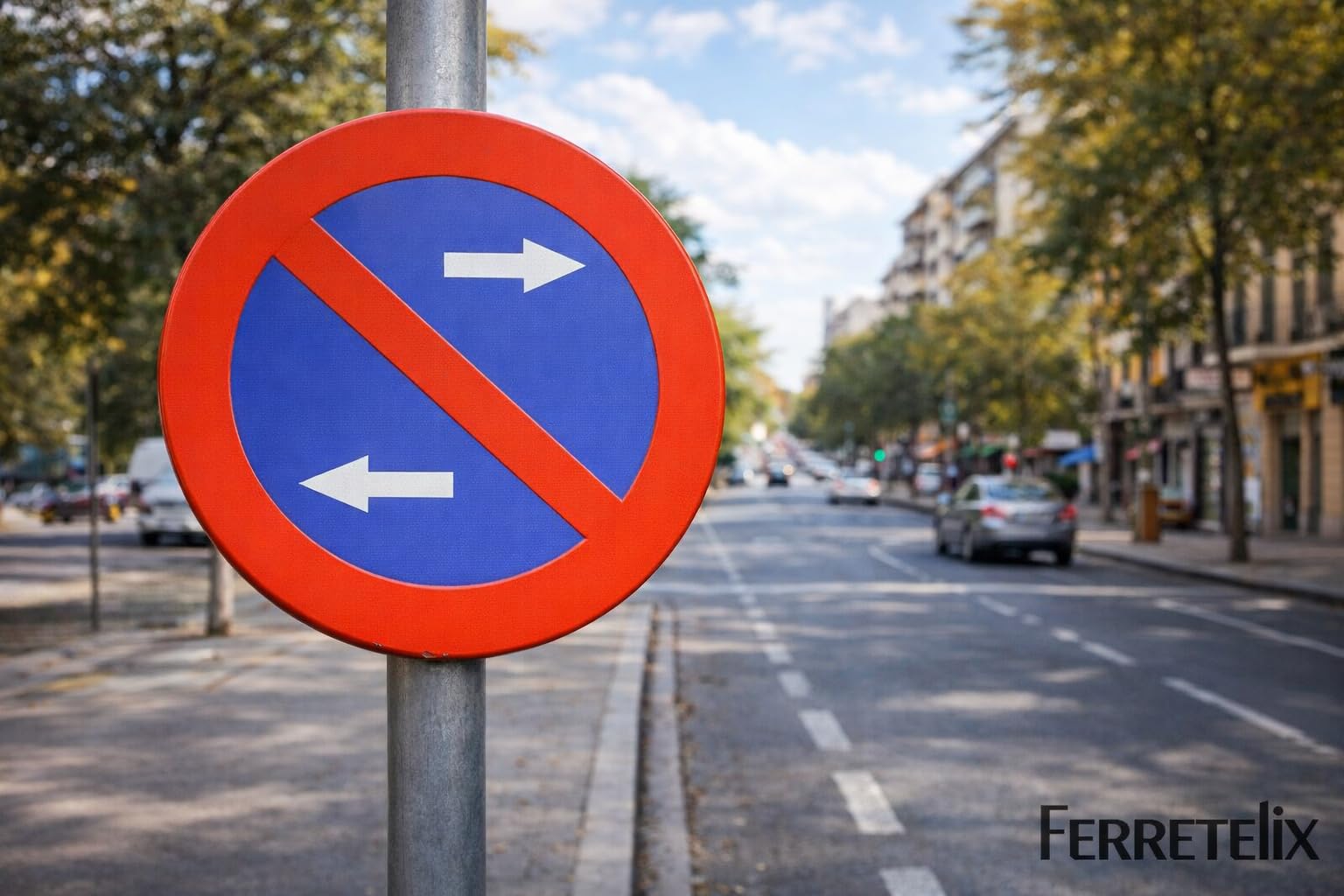 FERRETELIX® Señal Metálica Homologada MOPU 60 cm – R-308h Prohibido Aparcar Ambos Lados – Reflectante N1