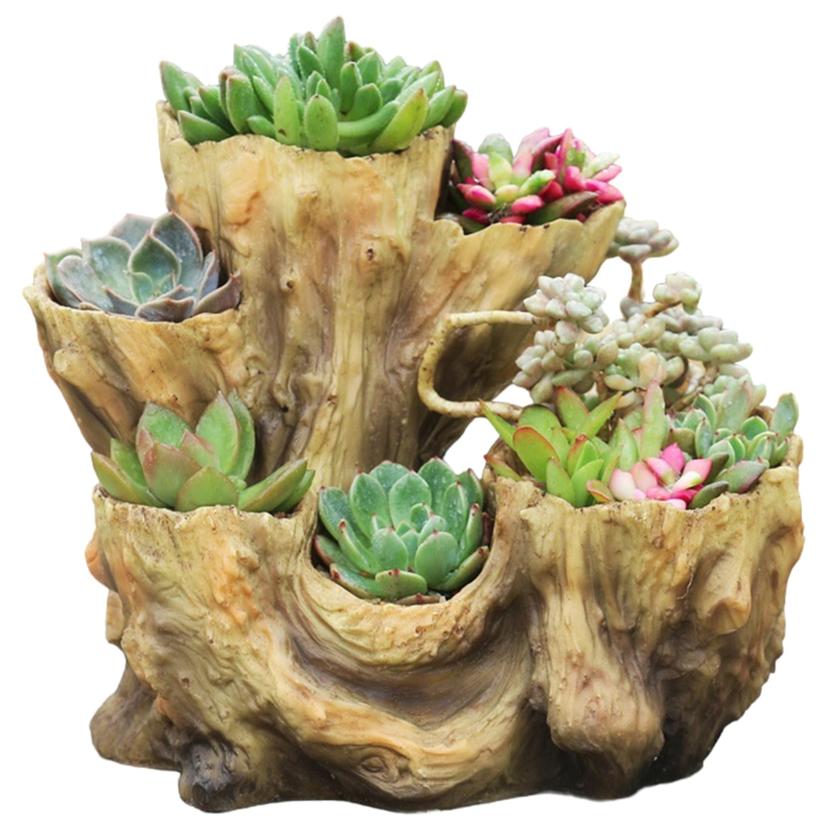 PithCogent Planter Pot|Driftwood Planter, Irregular Resin Rustic, Creative Imitation Wood Stump Succulent Pots for Herb, Flower, Strawberry, Small Plants, Red