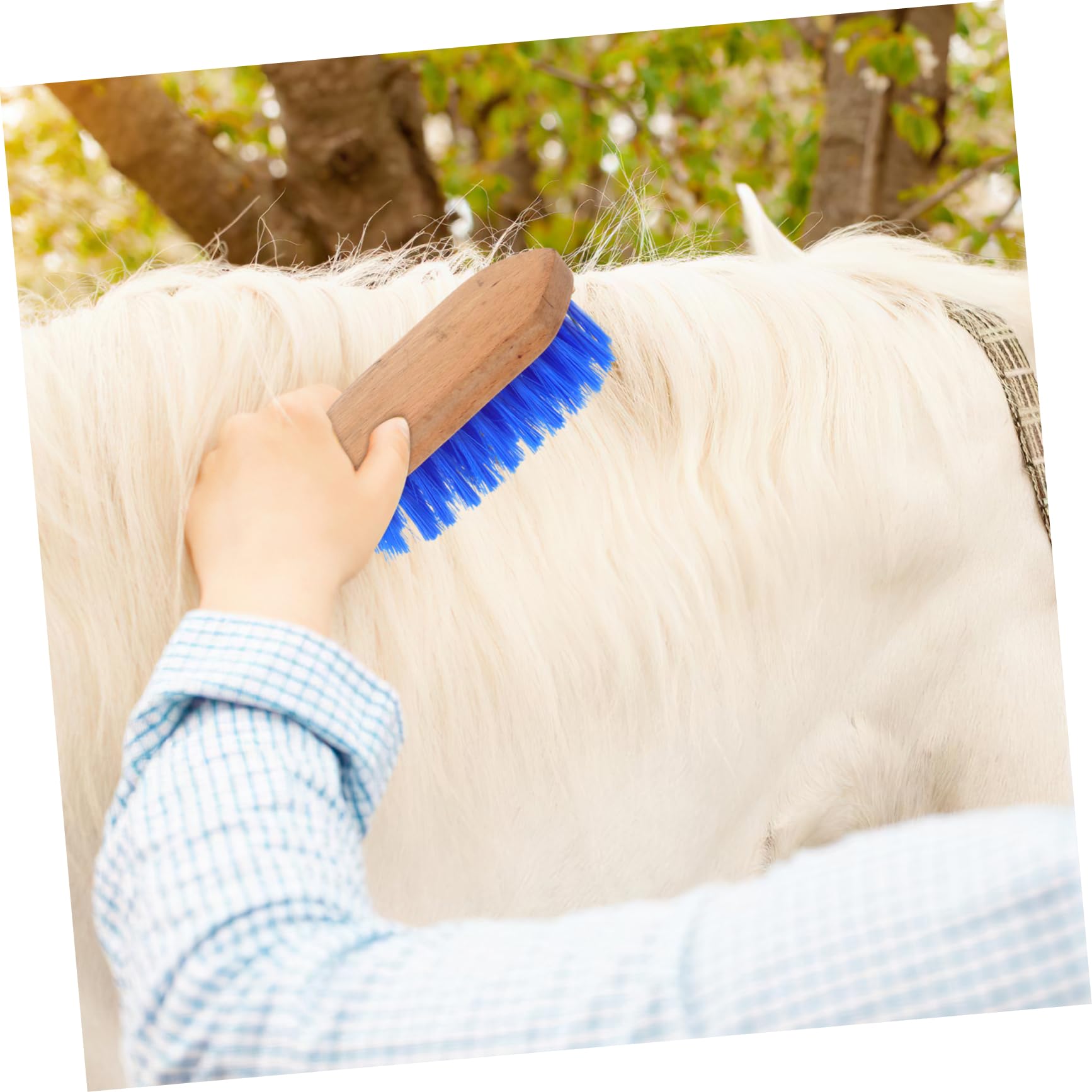 SOIMISS 5 Cepillos Para Caballos Cepillo Rascador Para Caballos Peine Para Limpiar El Pelo De Ganado Y Caballos Cepillo Para El Pelo De Mascotas Con Cerdas Accesorio De Limpieza Para