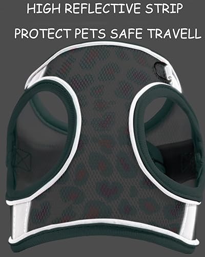 Miniatura 4 de Arnés para perros pequeños y medianos sin tirones, juego de arnés y correa para gatos, arnés para cachorros para perros pequeños, arnés para perro