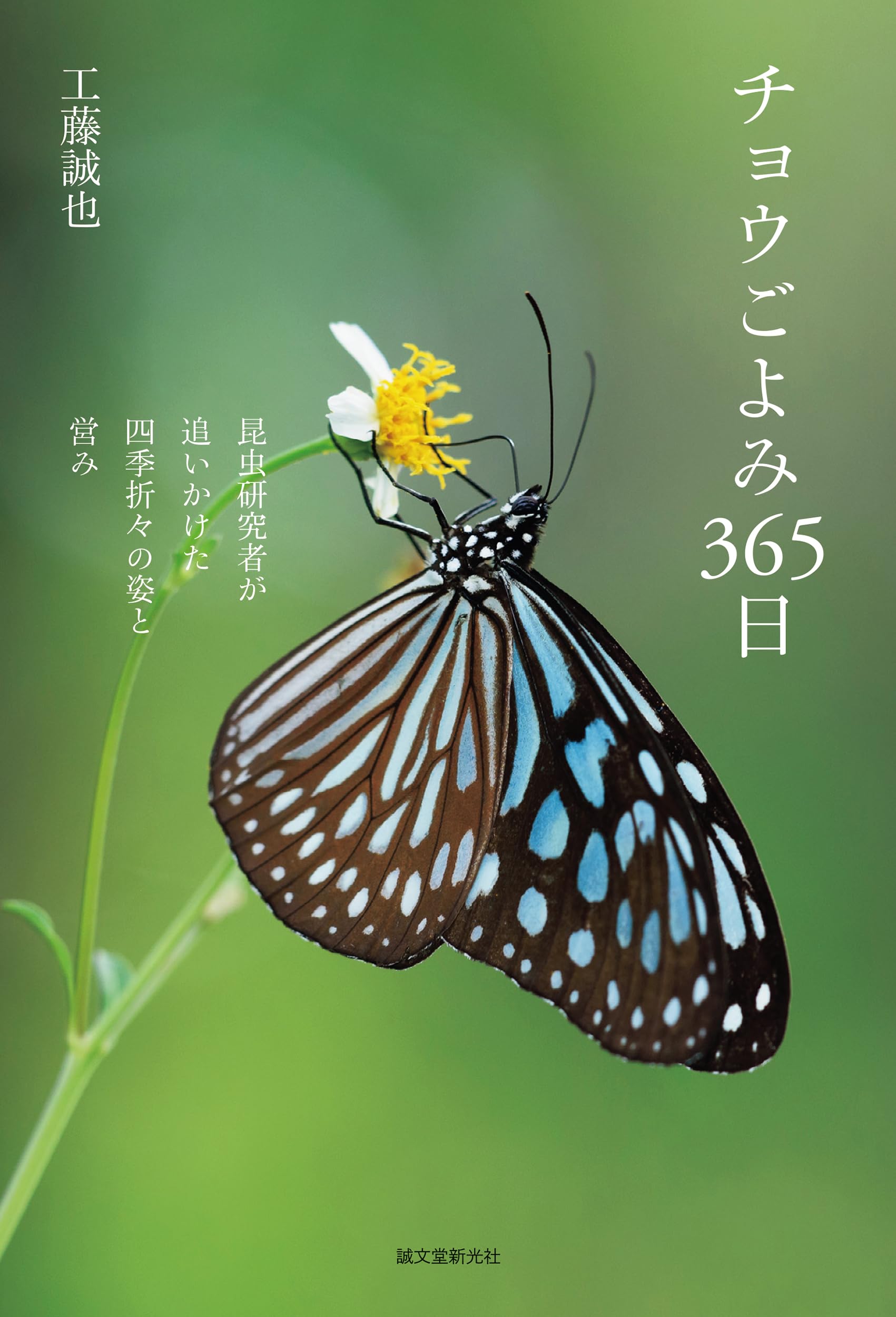 チョウごよみ365日: 昆虫研究者が追いかけた四季折々の姿と営み | 工藤