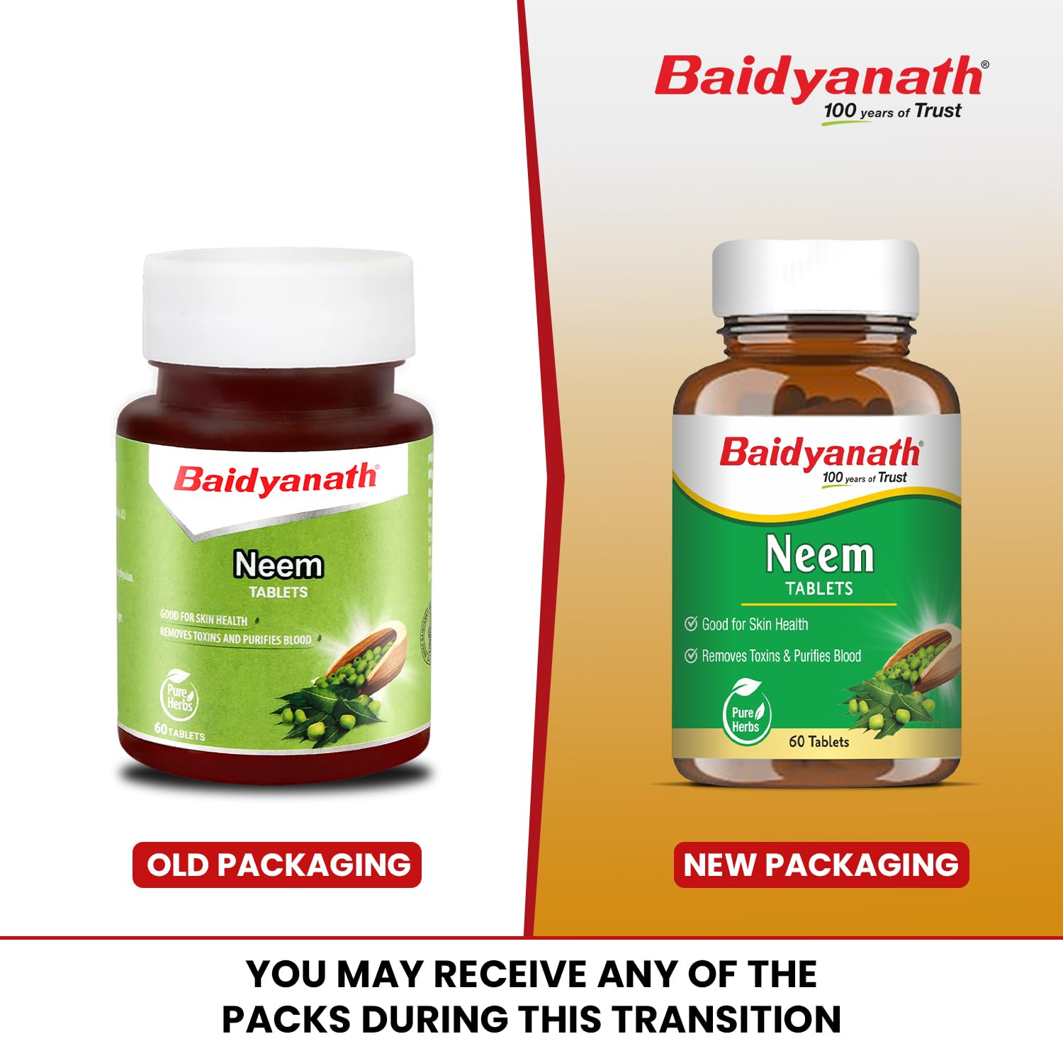 Baidyanath Ayurved Neem 60 Tablets | Herb For healthy Skin & Hair, Natural Extracts Of Neem | Helps In Purification of Blood Boosting & Liver Health