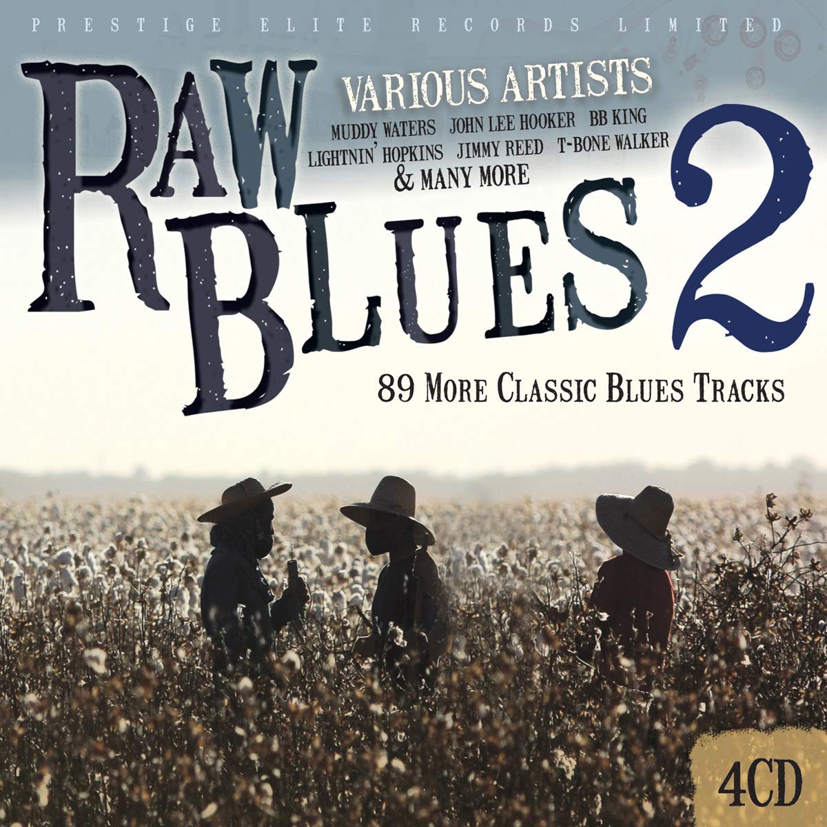 Various Artists Raw Blues Vol. 2 CD New 5032427403107
