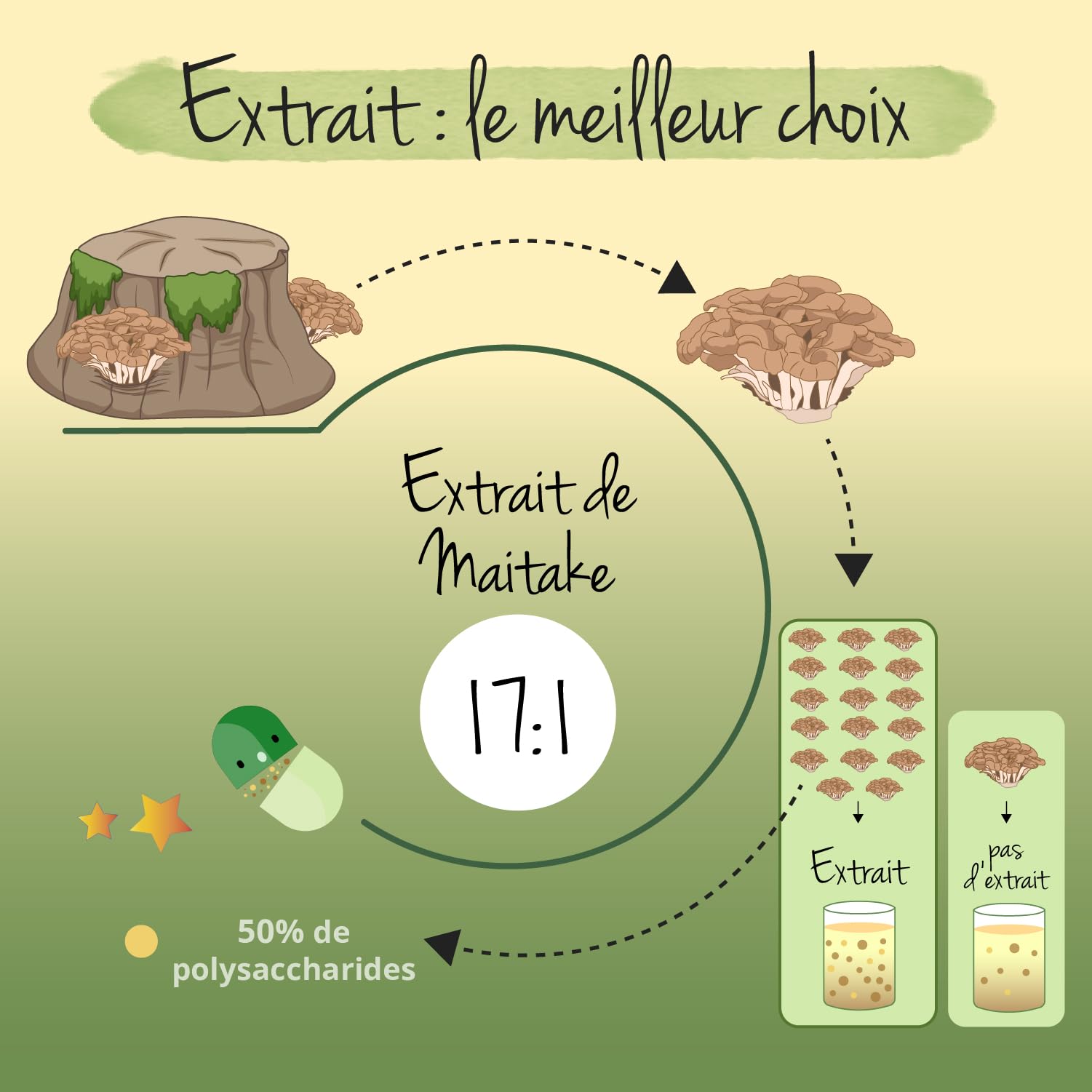 Maitake BIO Vegavero® | Dosage Élevé : 7500 mg | Extrait Standardisé à 50% de Polysaccharides | Antioxydant Naturel + Anti Stress | Sans Additifs | 60 Gélules | VEGAN